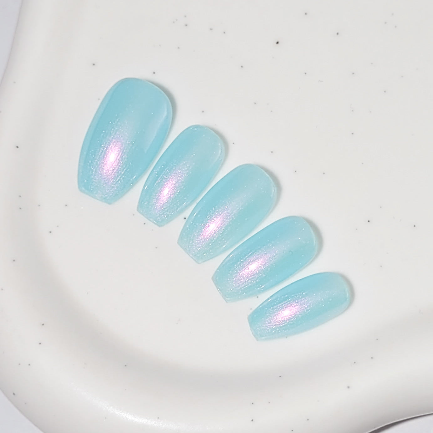 Signature: Aqua shells