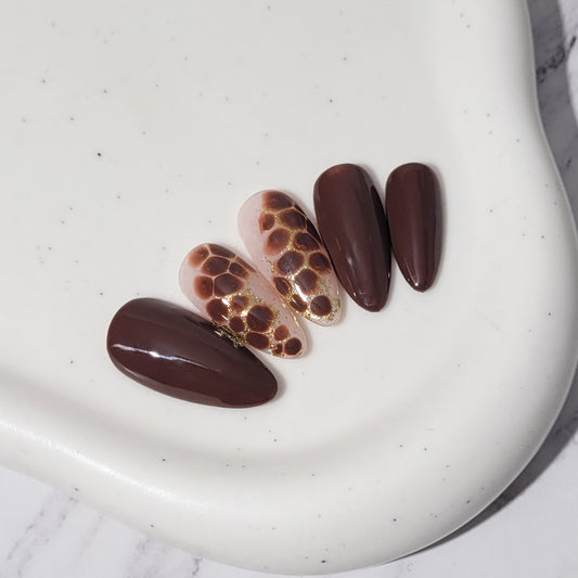 Signature:  Cocoa couture