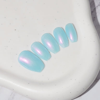 Signature:  Aqua shells