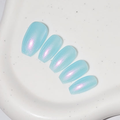 Signature:  Aqua shells