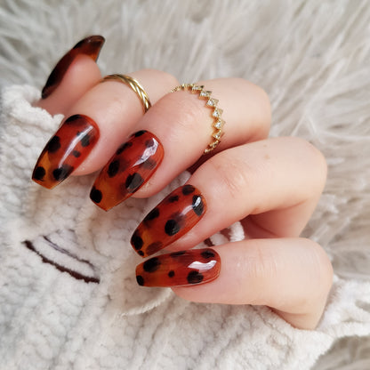 Signature:  Torties